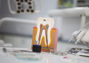 Model of the inside of a healthy tooth